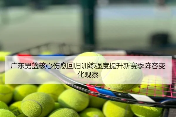 广东男篮核心伤愈回归训练强度提升新赛季阵容变化观察